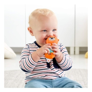 FISHER PRICE JUCARII ZORNAITOARE VIDRA - Img 3