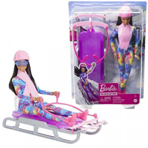 Papusa Barbie cu Sanie, You can Be Anything - Img 2