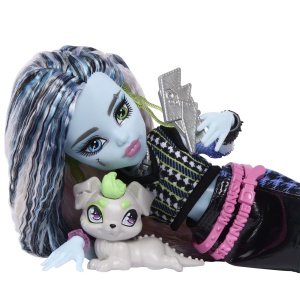 MONSTER HIGH PAPUSA FRANKIE STEIN CU ACCESORII - Img 10