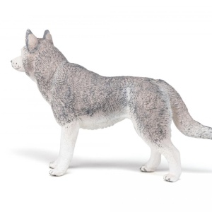 PAPO FIGURINA HUSKY SIBERIAN - Img 6