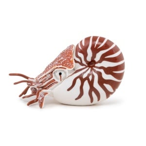 PAPO FIGURINA NAUTILUS - Img 5