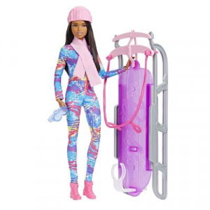 Papusa Barbie cu Sanie, You can Be Anything - Img 3