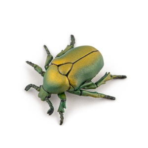 PAPO FIGURINA CARABUS - Img 2