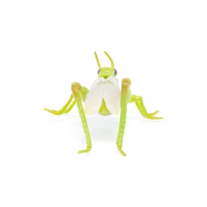 PAPO FIGURINA LACUSTA - Img 2