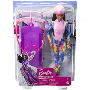 Papusa Barbie cu Sanie, You can Be Anything