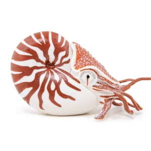 PAPO FIGURINA NAUTILUS