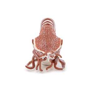 PAPO FIGURINA NAUTILUS - Img 3