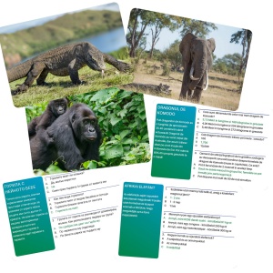 JOC INTERACTIV LUMEA ANIMALELOR IN LIMBA ROMANA - Img 3