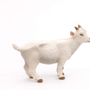 PAPO FIGURINA IED ALB - Img 5