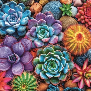 PUZZLE TREFL 1000 SUCULENTE COLORATE CU POSTER INCLUS - Img 2