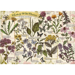 PUZZLE TREFL 500 PLANTE SI FLORI SALBATICE - Img 2
