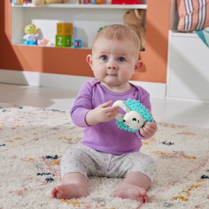 FISHER PRICE JUCARIE ZORNAITOARE ARICI - Img 4