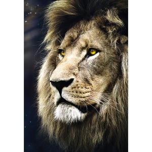 PUZZLE TREFL 1500 LEU PORTRET - Img 2