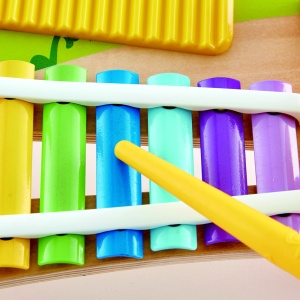 HAPE JUCARIE MUZICALA - Img 7