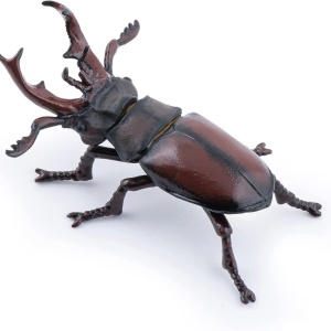 PAPO FIGURINA RADASCA