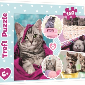 PUZZLE TREFL 160 PISICI DRAGALASE