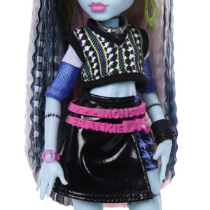 MONSTER HIGH PAPUSA FRANKIE STEIN CU ACCESORII - Img 9