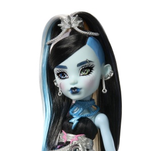 MONSTER HIGH ZIUA DE NASTERE DULCE SI INFRICOSATOARE PAPUSA FRANKIESTEIN CU ACCESORII - Img 4