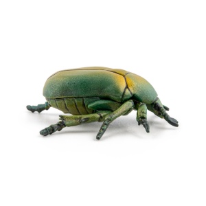 PAPO FIGURINA CARABUS - Img 5