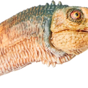 PAPO FIGURINA DINOZAUR CHILESAURUS - Img 2