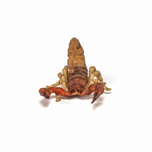 PAPO FIGURINA SCORPION - Img 4