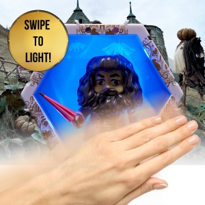 WOW! PODS - WIZARDING WORLD HAGRID - Img 5