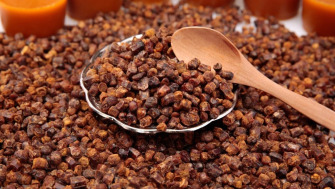 Beneficiile păsturii pentru ficat – aurul negru din stup pentru detoxifiere și regenerare hepatică 🐝