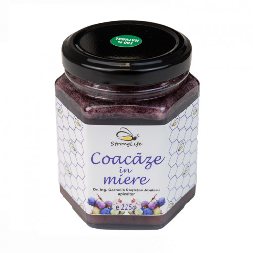 Coacaze in miere - 225g by Dr. Ing. Cornelia Dostetan Abalaru apicultor
