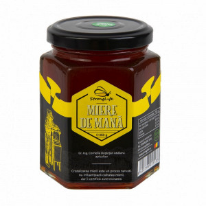 100% Natural Honeydew Honey - 350g by Dr. Ing. Cornelia Dostetan Abalaru, Beekeeper - Img 1