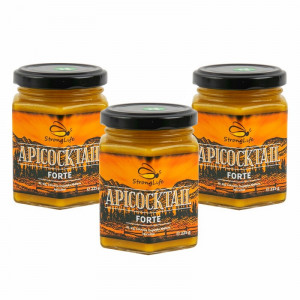 Pachet ApiCocktail® Forte - 3 x 225g cocktail-uri apicole pentru intarirea sistemului imunitar, revitalizarea și energizarea organismului by Dr. Ing. Cornelia Dostetan Abalaru apicultor - Img 2