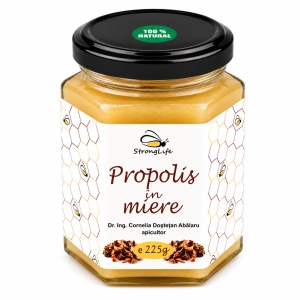 Propolis in Honey – 225g by Dr. Ing. Cornelia Dostetan Abalaru, Beekeeper