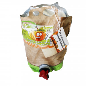 Nectar dovleac cu mere - 3L
