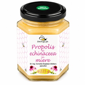 Propolis and Echinacea in Honey – 225g by Dr. Ing. Cornelia Dostetan Abalaru, Beekeeper