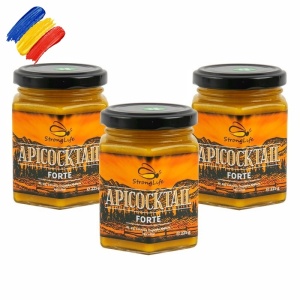 ApiCocktail® Forte Package - 3 x 225g bee product mixes for strengthening the immune system, revitalizing, and energizing the body by Dr. Ing. Cornelia Dostetan Abalaru, Beekeeper - Img 1