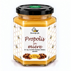 Propolis in Honey – 225g by Dr. Ing. Cornelia Dostetan Abalaru, Beekeeper - Img 4