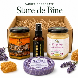 Stare de Bine – pachet cadou cu miere, propolis și ApiCocktail®