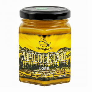 ApiCocktail® Children - 225g Beekeeping Mix for Immunity with Honey, Pollen, Propolis, and Royal Jelly by Dr. Cornelia Dostetan Abalaru, Beekeeper - Img 3