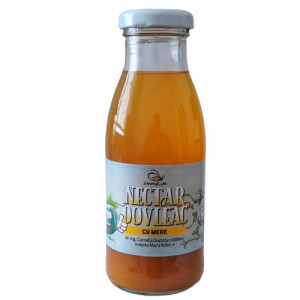 Nectar dovleac cu mere - 0.25L