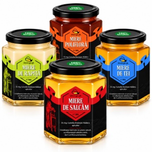 Pachet 4 sortimente de miere naturală StrongLife – salcâm, tei, rapiță și polifloră – 4 × 1 kg