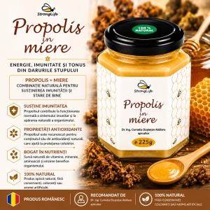 Propolis in Honey – 225g by Dr. Ing. Cornelia Dostetan Abalaru, Beekeeper - Img 2