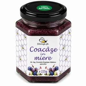 Coacaze in miere - 225g by Dr. Ing. Cornelia Dostetan Abalaru apicultor