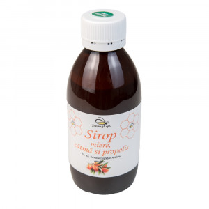 Sea Buckthorn and Propolis Syrup with Honey - 200ml by Dr. Ing. Cornelia Dostetan Abalaru, Beekeeper - Img 2
