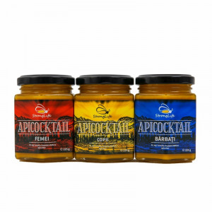 ApiCocktail® Package - 675g of apicultural blends to boost the immunity of the entire family, developed by Dr. Ing. Cornelia Dostetan Abalaru, a beekeeper. - Img 2