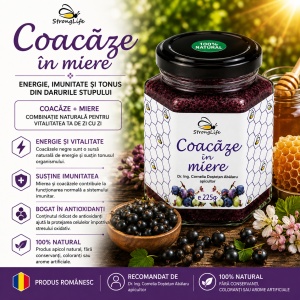 Black Currants in Honey – 225g by Dr. Ing. Cornelia Dostetan Abalaru, Beekeeper - Img 2