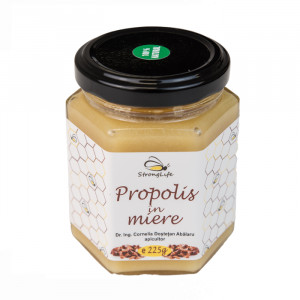 Propolis in Honey – 225g by Dr. Ing. Cornelia Dostetan Abalaru, Beekeeper - Img 1