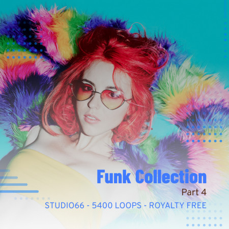 Funk Groove Collection Part 4 WAV Loops Download