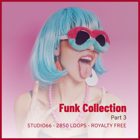 Funk Groove Collection Part 3 WAV Loops Download