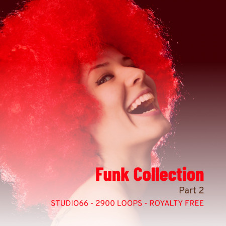 Funk Groove Collection Part 2 WAV Loops Download