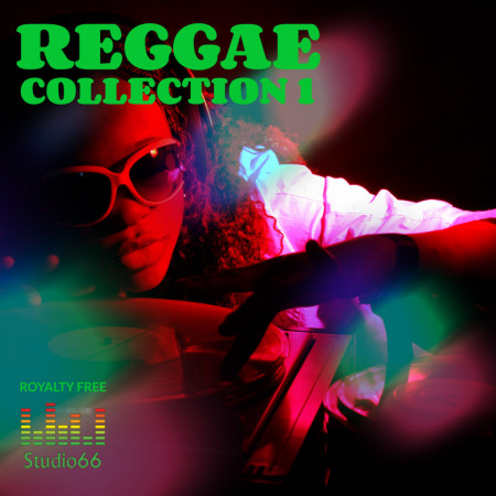 Reggae Vibe Collection Part 1 WAV Loops Samples