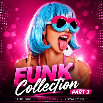 Funk Groove Collection Part 3 WAV Loops Download